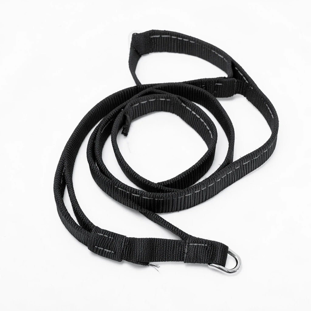 Dog Leash with Traffic Handle