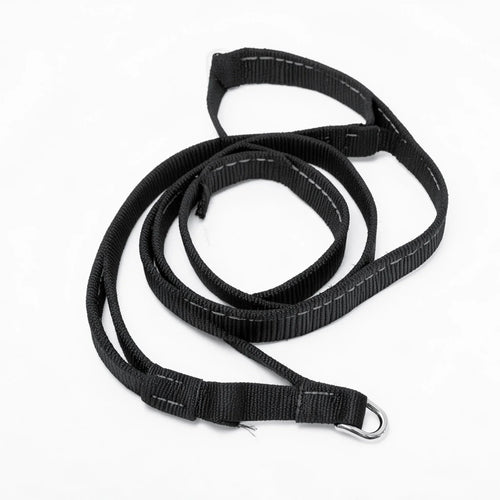 Dog Leash with Traffic Handle