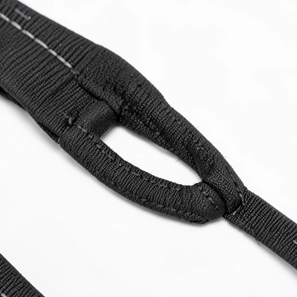 Dog Leash with Traffic Handle